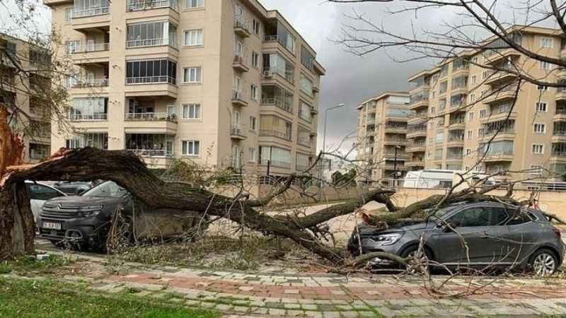 Bursa’da lodos hayatı felç etti: Ağaçları devirdi, çöp konteynerlerini sürükledi