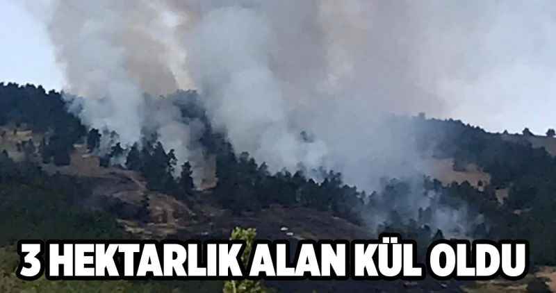 3 HEKTARLIK ALAN KÜL OLDU