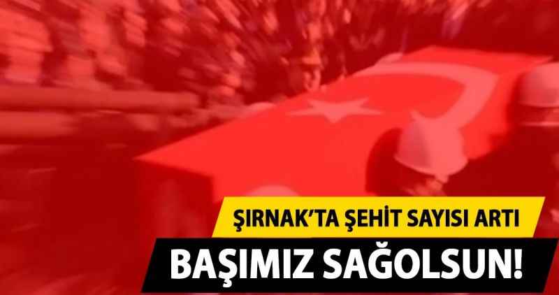BAŞIMIZ SAĞOLSUN!