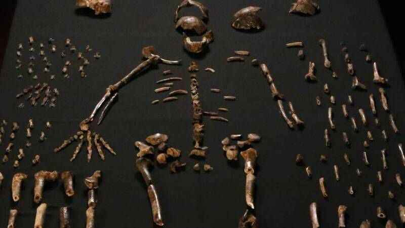 Orada 3 metre boyunda insan iskeletleri ortaya çıktı