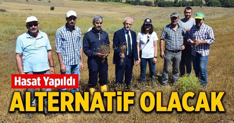 Alternatif olacak