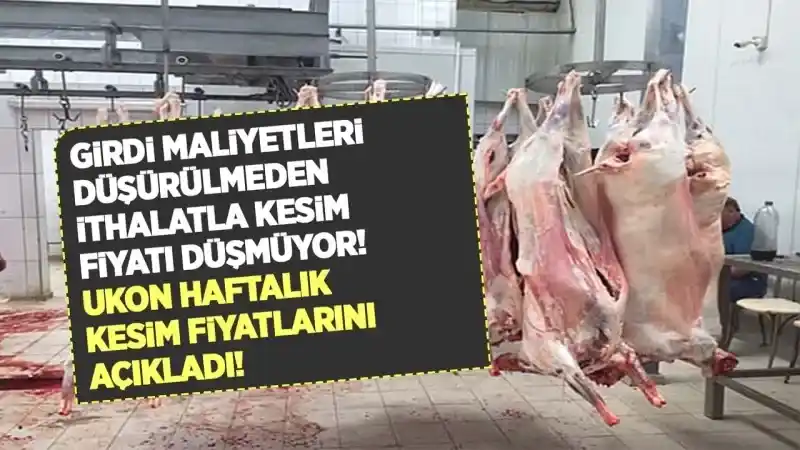 Dana ve kuzu kesim fiyatı kaç lira oldu? 2024