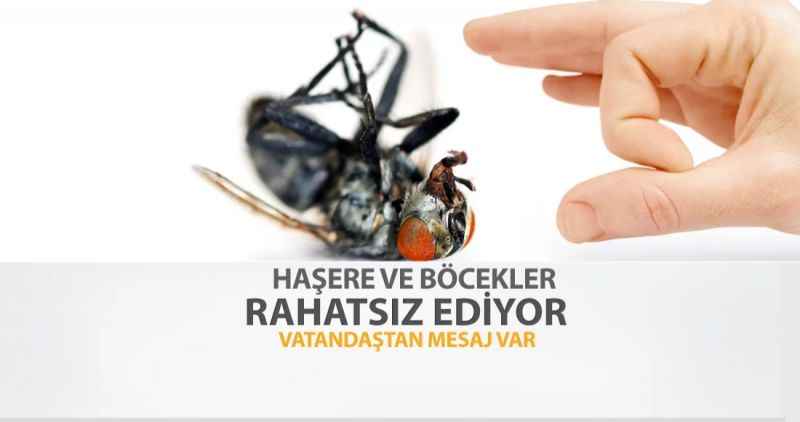 HAŞERE VE BÖCEKLER RAHATSIZ EDİYOR