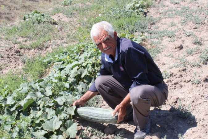 Kimse inanmadı, zoru başardı