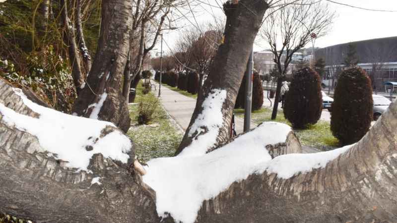 Soğuğun Pençesindeki Yozgat: Beyazlar İçinde Ayrı Bir Güzel!