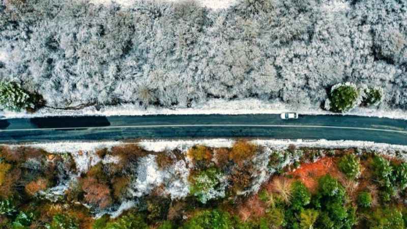 Yozgat'ın Yeşil Hazinesi: Akdağmadeni Ormanları, Doğaseverleri Bekliyor