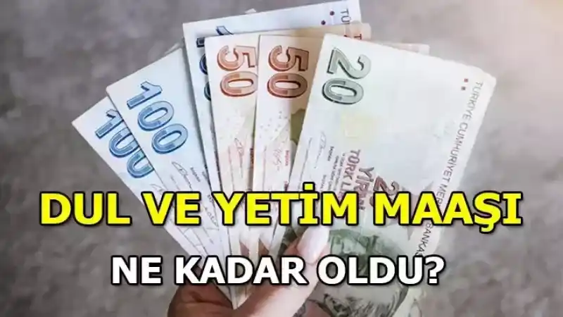 2024 Dul ve yetim maaşları yüzde kaç zamlandı?
