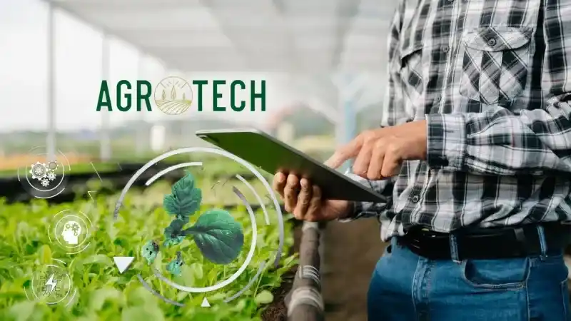 Agrotech halka arz fiyatı