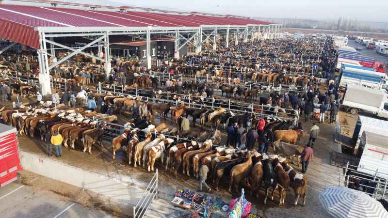 Yozgat'tan sonra ikinci emir Çorum'a