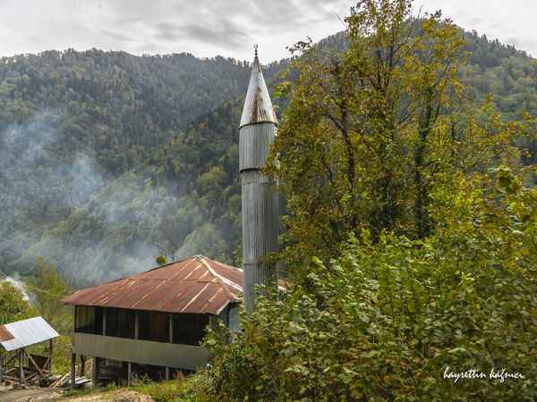 Türkiye'nin En Güzel Köyleri: Karadeniz’in eşsiz güzelliğinin buluştuğu nokta Camili Köyü