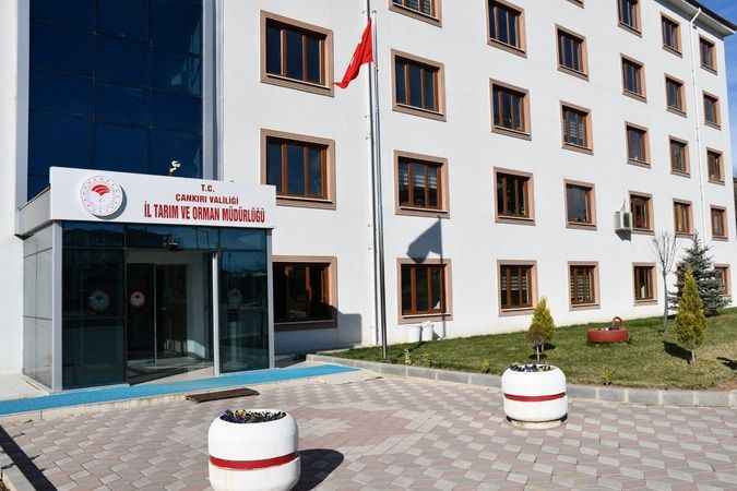 Çankırı İl Tarım ve Orman Müdürlüğü tüplü sebze fidesi (6 kalem) satın alacak