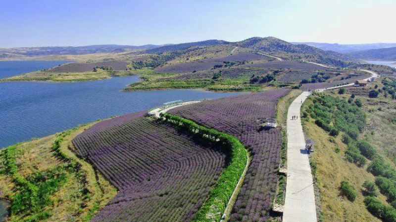 Yozgat Altın Buldu: 80 Milyon...