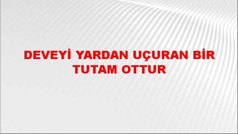 Deveyi yardan uçuran bir tutam ottur ne demek?