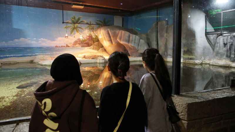 Öğrencilere tatil hediyesi Mavi sulara gizemli yolculuk yaptılar