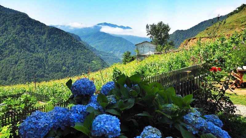 Doğaseverlerin Yeni Rotası: Artvin'in Yeşil Cenneti Maçahel!