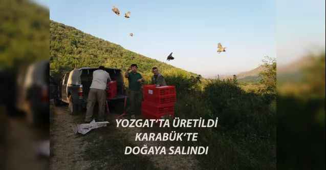 Yozgat'ta üretildi, Karabük'te salındı