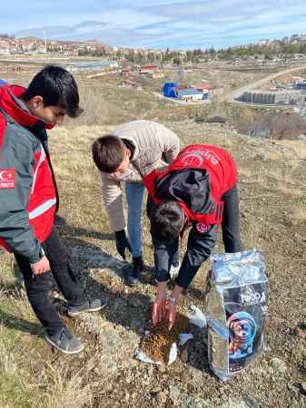 Yozgat Alperen Ocaklarından: Sokak hayvanlarına sıcak kucak