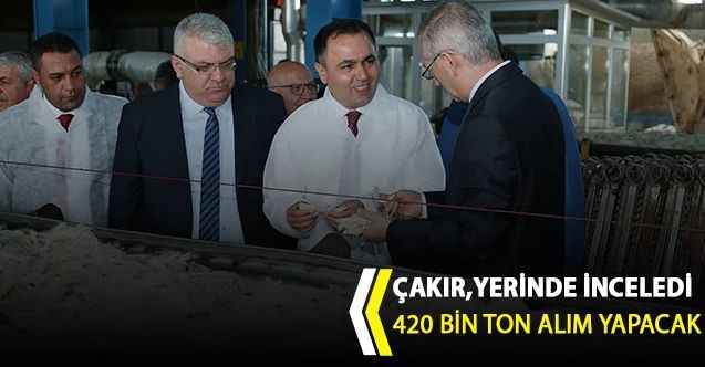 Vali Çakır yerinde inceledi : 420 Bin ton alım yapacak