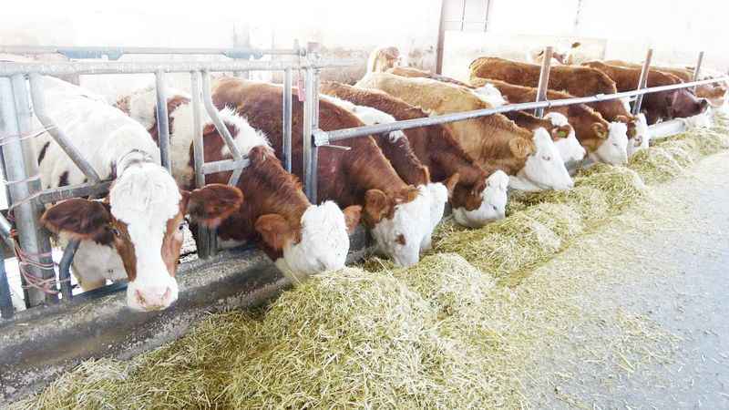 Yozgat’ta Bu Da Oldu: İşte Örnek Olacak Bir Hikaye!
