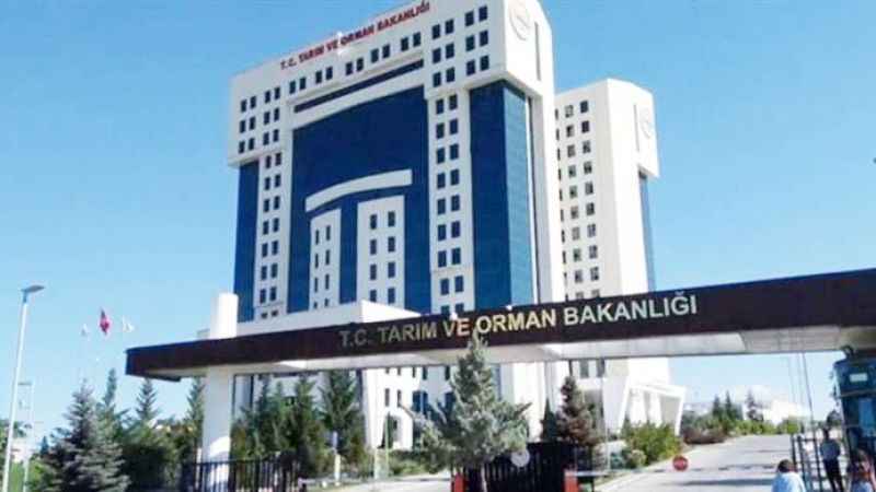 Tarım ve Orman Bakanlığı Taşra Teşkilatı Hizmet Birimlerinde İstihdam Edilmek Üzere Tarım İşçisi Alacak