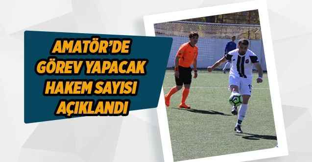 Amatör’de görev yapacak hakem sayısı açıklandı