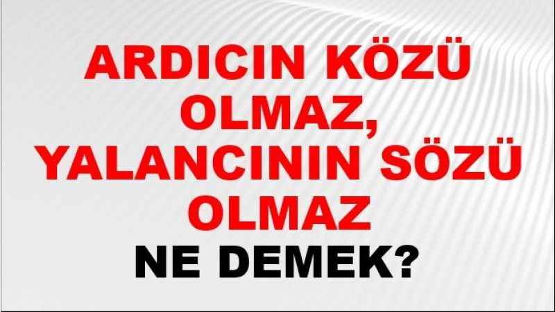 Ardıcın közü olmaz atasözünün anlamı nedir?