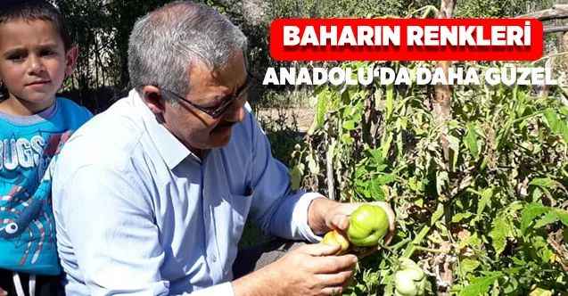 Akdağmadeni Ortaköy Köyü’nde sonbahar başka güzel
