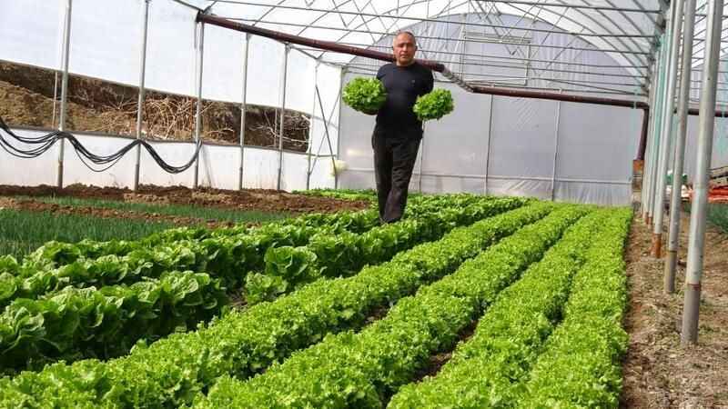 Ankara'dan Yozgat'a Uzanan Organik Tarım Yolculuğu. İlham Veren Bir Hikaye!