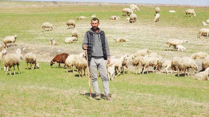 Yozgatlı Çiftçilerin Yüzü Şubat'ta Doğan Kuzularla Güldü!