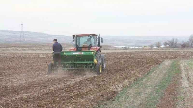 Yozgat Yeşil Mercimekte Türkiye'nin Zirvesinde!