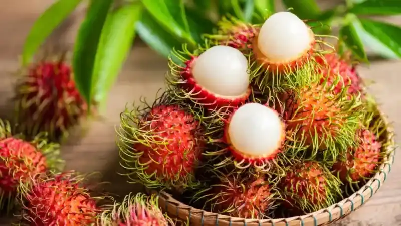 Rambutan Meyvesinin Faydaları: Sağlığınıza Geleneksel Bir Dokunuş