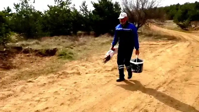 Yozgat'ta Bir Doğa Severin Özverisi: Yabani Ağaçları Aşılıyor