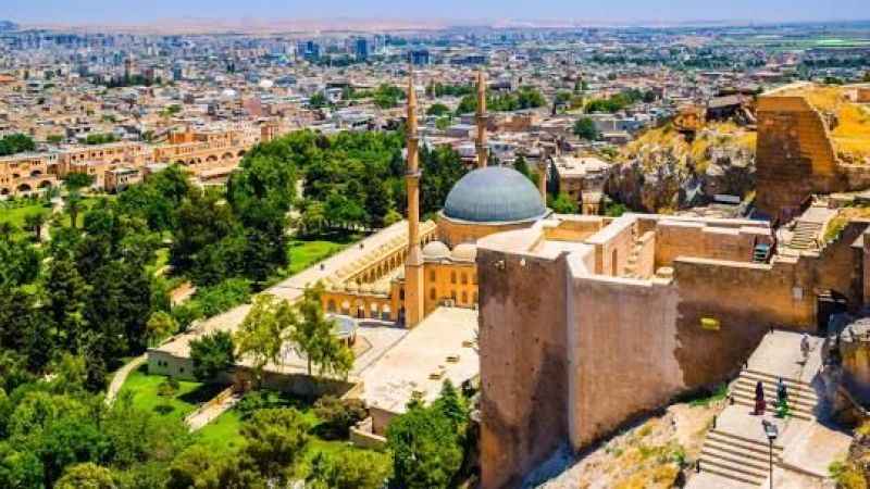 Şanlıurfa, Türkiye'nin Zeka Sıralamasında Dikkat Çekti: İşte Detaylar!