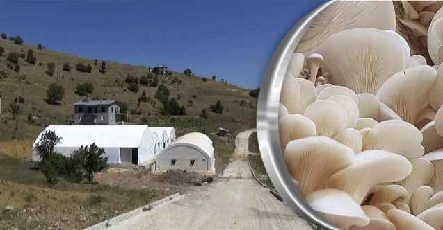 KOP Desteği ile Torosların Eteğinde Kendi İşinin Patronu Oldular