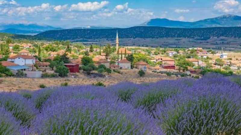 Türkiye'nin Zeka Sıralaması Açıkladı: Isparta’nın Yeri Belli Oldu!
