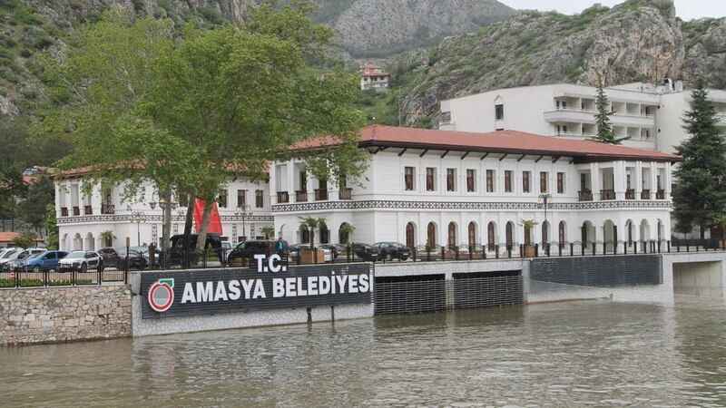 Amasya Belediye Başkanlığı ağaç alımı yapacak