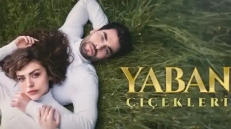 Yaban Çiçekleri final mi yapıyor? Yaban Çiçekleri bitti mi?