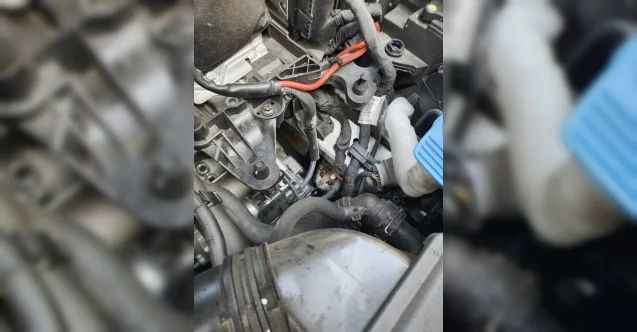 Otomobilin motor kısmına sıkışan yavru kediyi itfaiye kurtardı