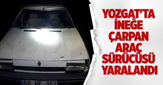 Yozgat'ta İneğe çarpan araç sürücüsü yaralandı
