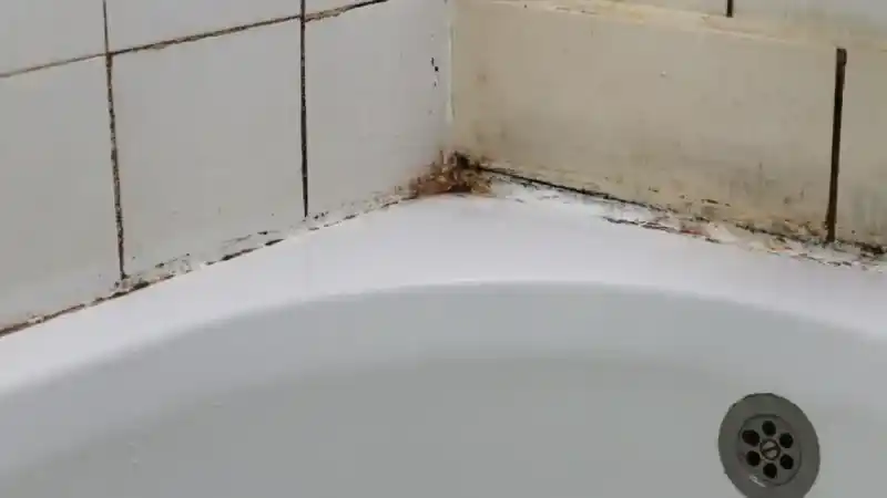 Yozgat'ta Bayram Temizliğinde Bir Numara! Tek 1 Kaşığı Küf Lekelerini Çıkarmaya Yetiyor.
