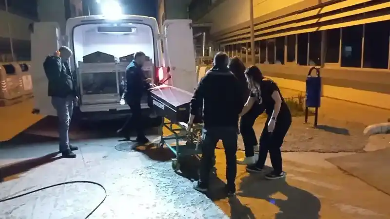 Tatil yolculuğundan acı haber geldi Tatil için çıktıkları yolda kaza yaptılar: 1 ölü, 1 yaralı