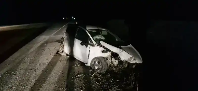 Yozgat'a geliyordu. Köpeğe çarpan aracı gördü, manevra yaptı, şarampole uçtu!