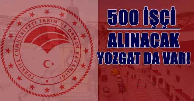Tarım ve Orman Bakanlığı Yozgat'ın da Yer Aldığı 26 Bölge'ye 500 Daimi İşçi Alacak! KPSS Şartı Yok! Alımlar İŞKUR'dan...