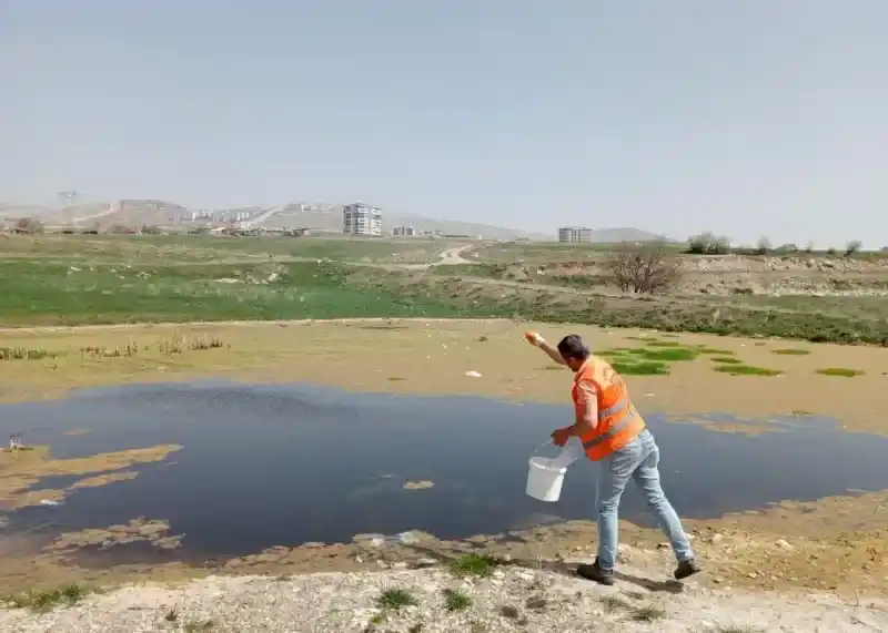 Yenimahalle’de ilaçlama çalışması