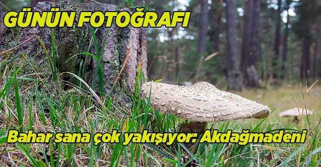 Bahar sana çok yakışıyor: Akdağmadeni