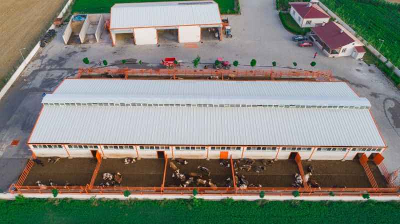 Yozgat’ta Süt Üretimi ve Su Ürünleri İşleme Projeleri Büyük Destek