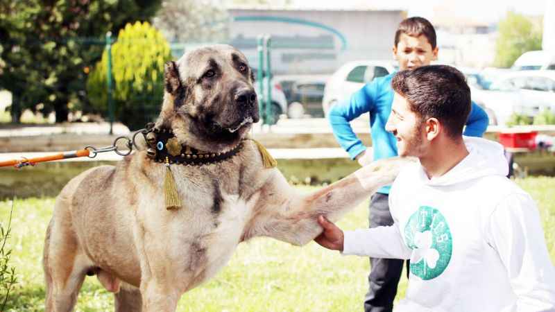 Bu yarışma çok farklı En güzelini seçtiler