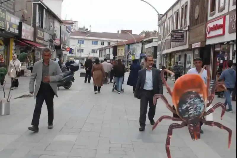 Yozgat'ta kene tehlikesi artıyor: Vatandaş Kene İle Mücadeleyi biliyor mu?