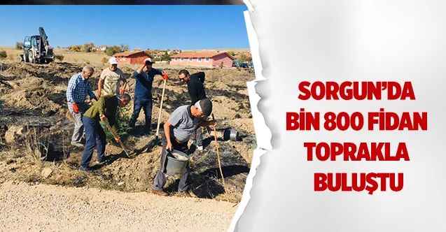 Sorgun’da bin 800 fidan toprakla buluştu