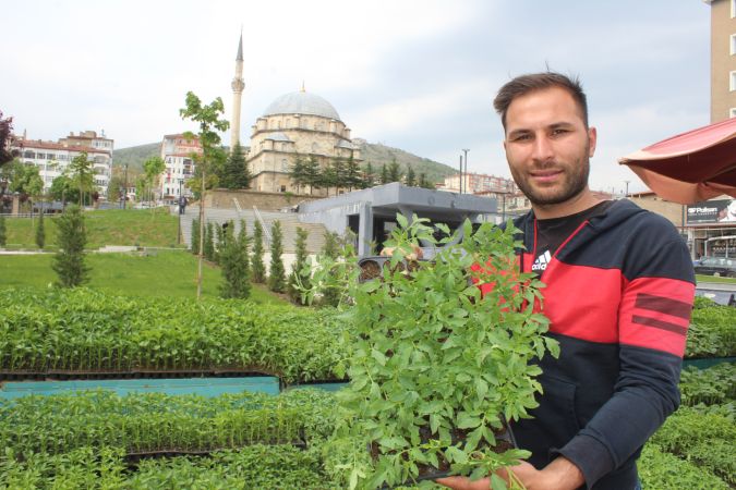 Yozgat'ta Fideler toprakla buluşmaya hazır